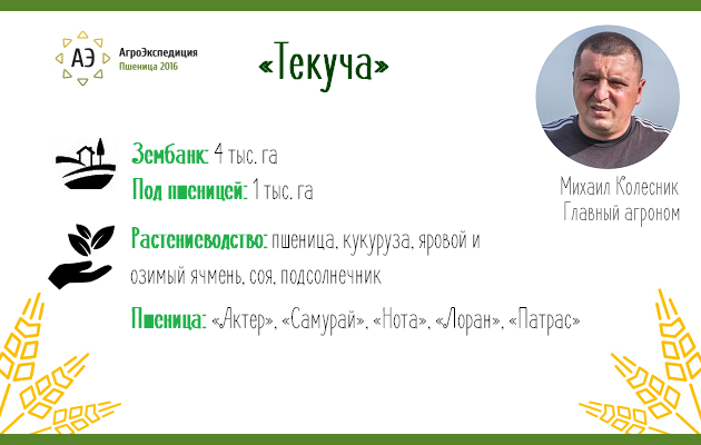 Общая информация о компании «Текуча»